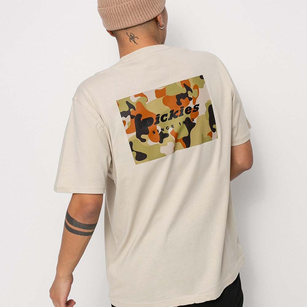 Dickies Artondale Box T-shirt