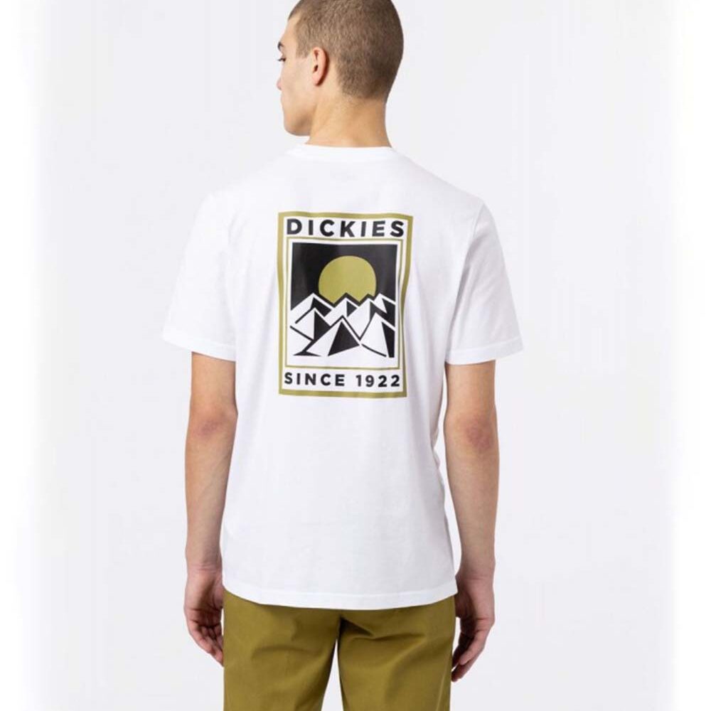 Dickies Pacific short sleeve t-shirt